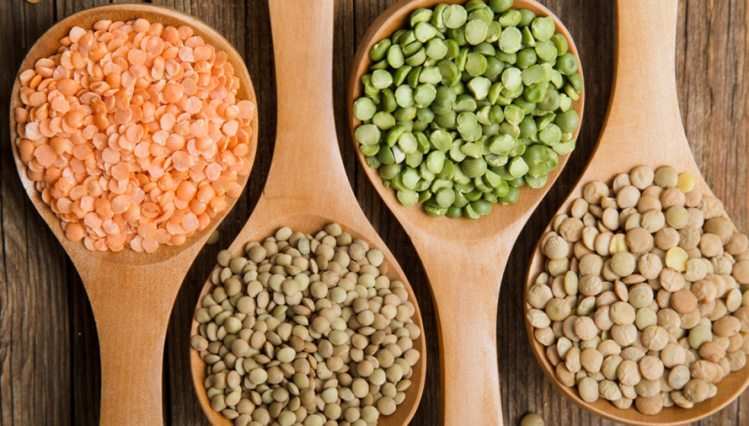 pulses helps children gain weight and build muscles mass
